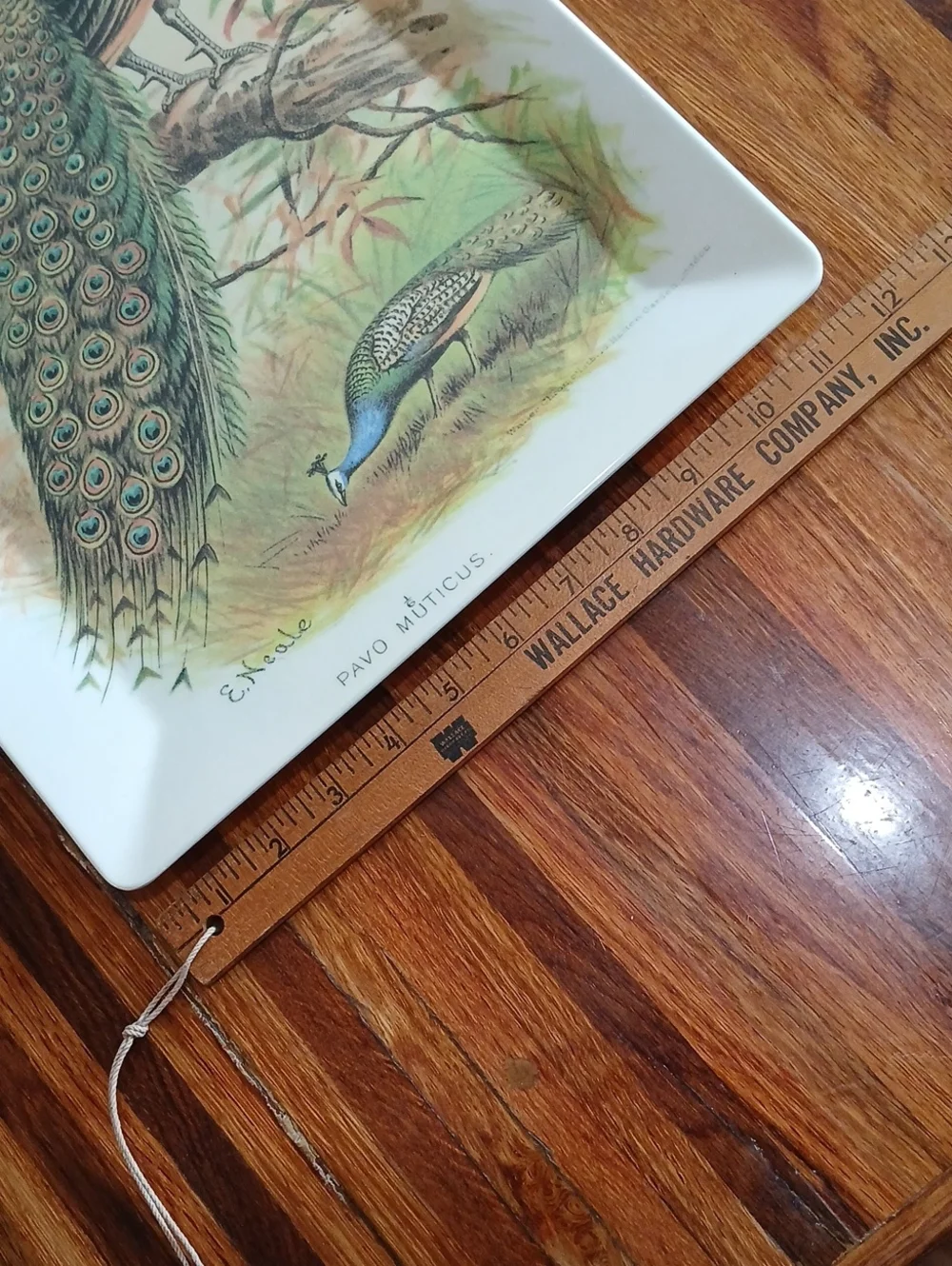 Pottery Barn Peacock Melamine Tray